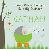 Big Brother Book