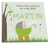 Big Brother Book