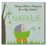 Big Sister Book